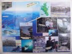705 placemat Great Barrier NZ 2.JPG (70 KB)